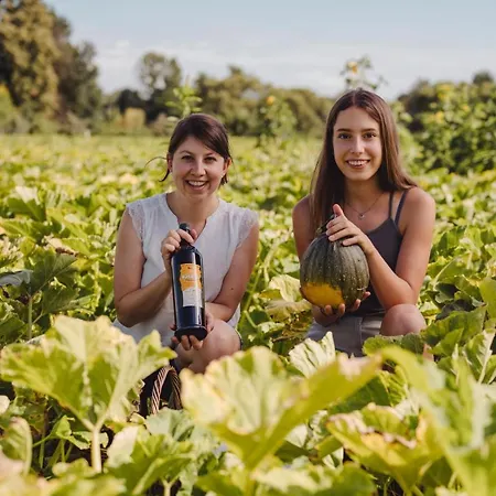 Kuerbishof Gartner *