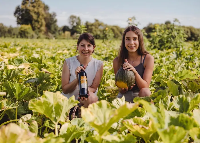 Kürbishof Gartner *